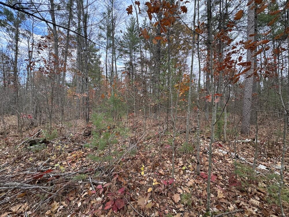 4335 Kings Corner Road Glennie, MI 48737 - Photo 34 of 78 IMG_7162