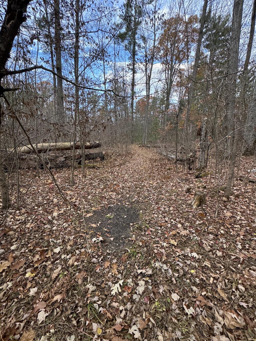 4335 Kings Corner Road Glennie, MI 48737 - Photo 35 of 78 IMG_7163