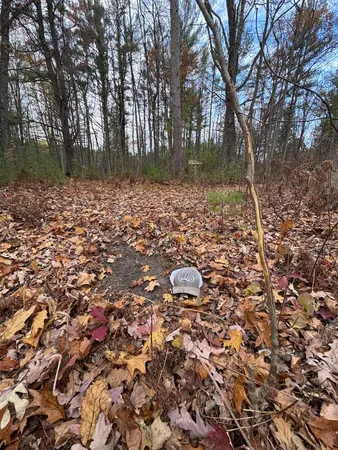 $399,000 | 4335 Kings Corner Road, Glennie, MI 48737