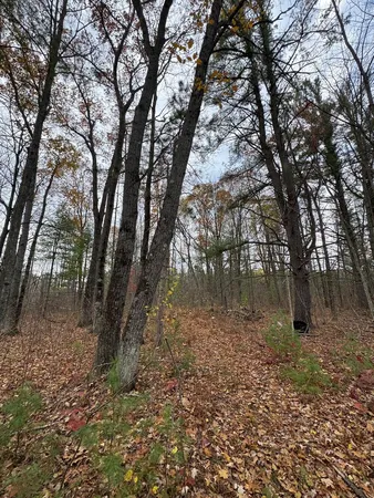 $399,000 | 4335 Kings Corner Road, Glennie, MI 48737