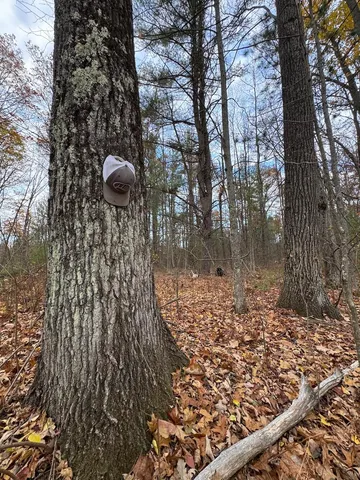 $399,000 | 4335 Kings Corner Road, Glennie, MI 48737