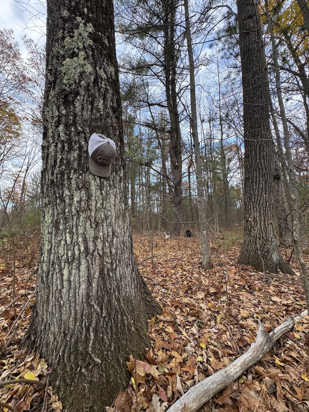 4335 Kings Corner Road Glennie, MI 48737 - Photo 41 of 78 IMG_7170