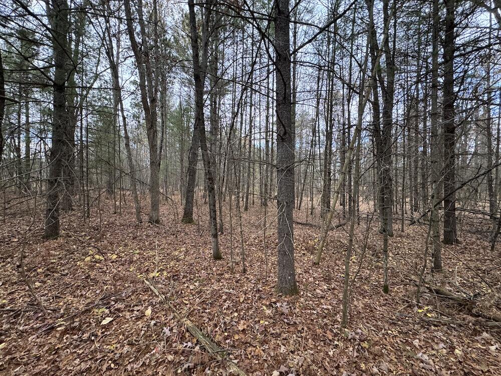 4335 Kings Corner Road Glennie, MI 48737 - Photo 43 of 78 IMG_7179