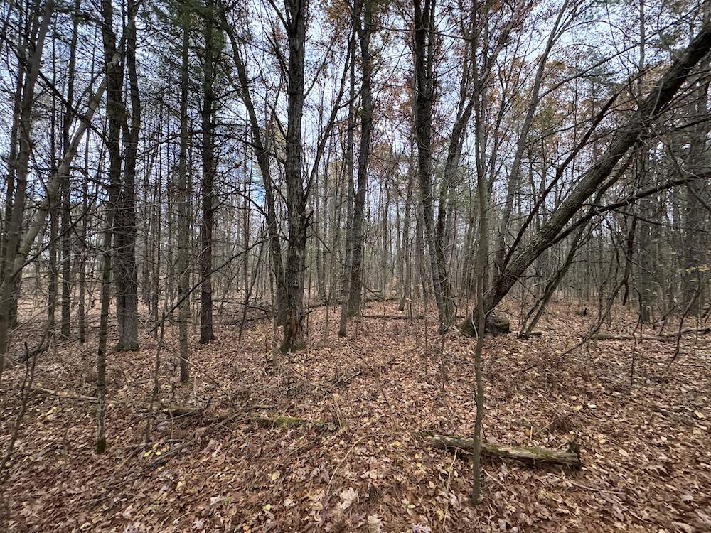 4335 Kings Corner Road Glennie, MI 48737 - Photo 44 of 78 IMG_7180