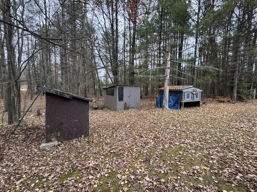 4335 Kings Corner Road Glennie, MI 48737 - Photo 46 of 78 IMG_7182