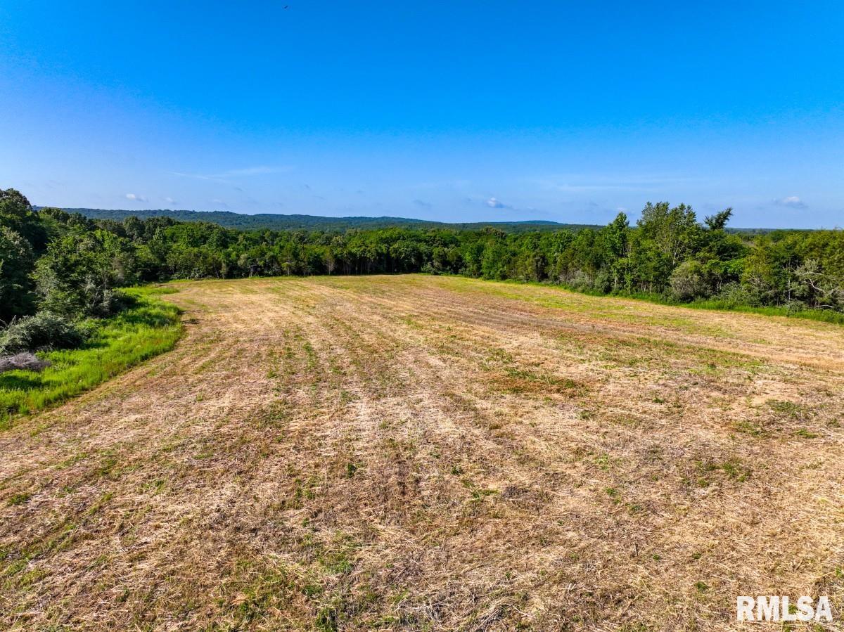 0 Tom Dick Hill Road Stonefort, IL 62987 - Photo 10 of 62