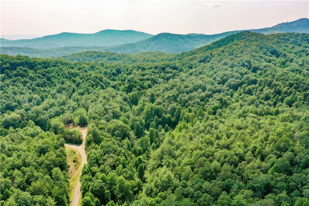 0 Flagpole Circle Ellijay, GA 30540 - Photo 4 of 5 a view of a lush green hillside and a mountain view