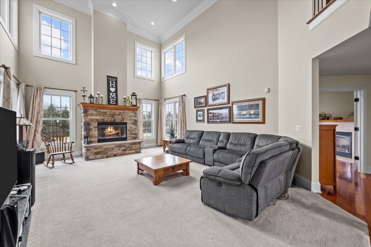 1-n203 East Blackberry Crossing Circle Elburn, IL 60119 - Photo 7 of 30 a living room with furniture window and a fireplace