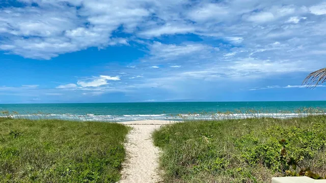 a view of an ocean and beach