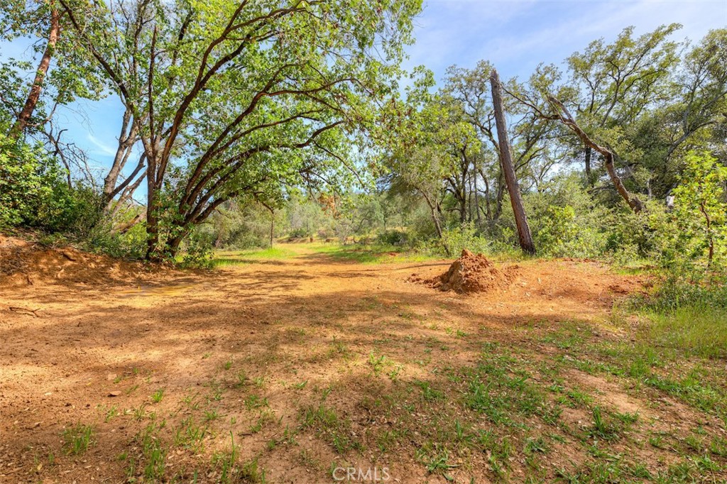 152 Rocky Top Road Oroville, CA 95965 - Photo 44 of 68
