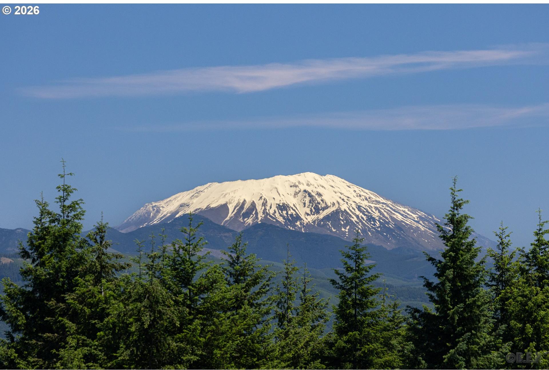 27546 Clark Road Deer Island, OR 97054 - Photo 11 of 21 Gallery Image 11