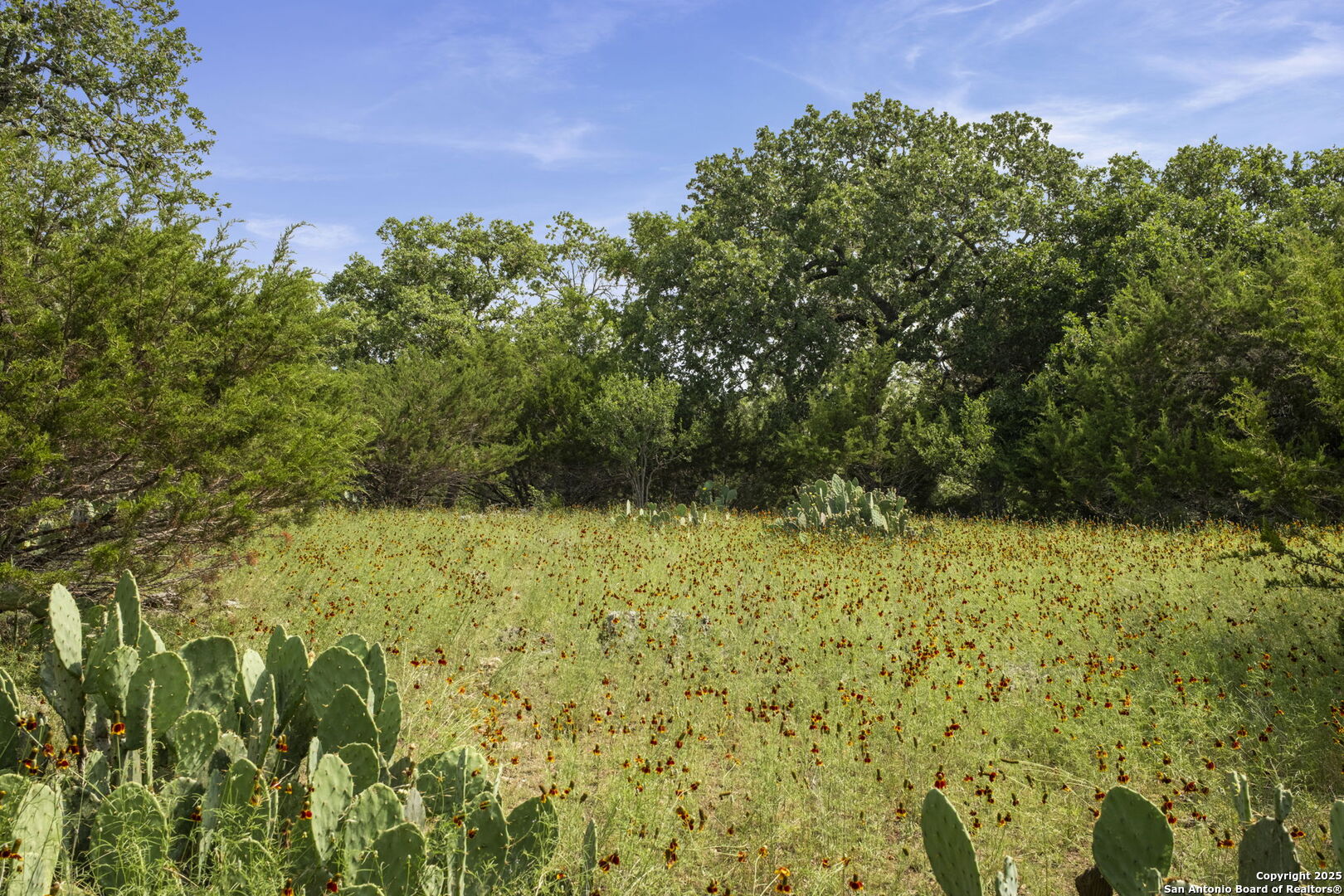 1030 Jurassic Lane Spring Branch, TX 78070 - Photo 2 of 7 a view of a yard