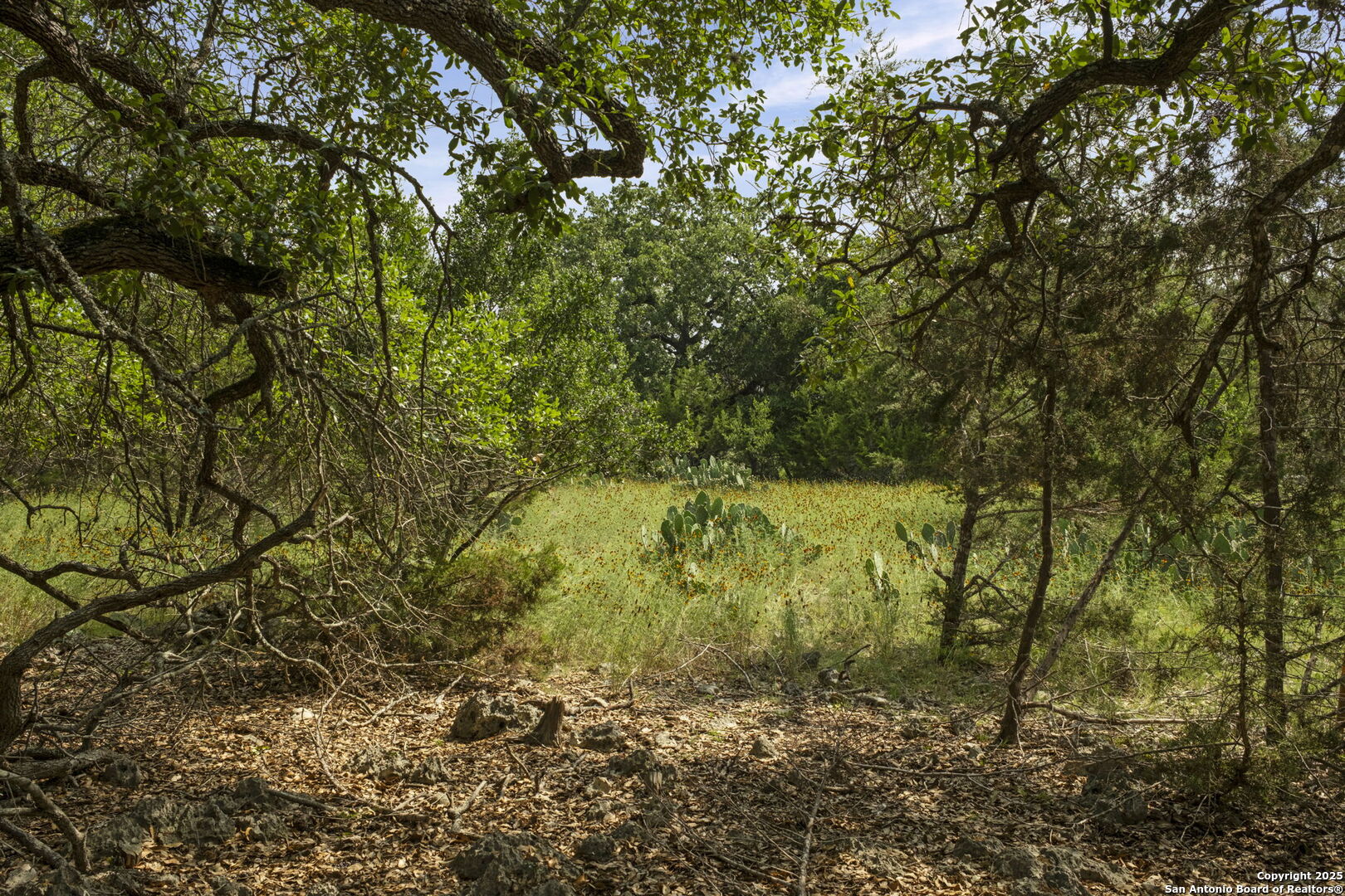 1030 Jurassic Lane Spring Branch, TX 78070 - Photo 7 of 7 a view of mountain view