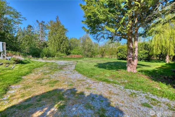 a view of a field with trees