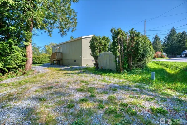 a backyard of a house with plants and large tree