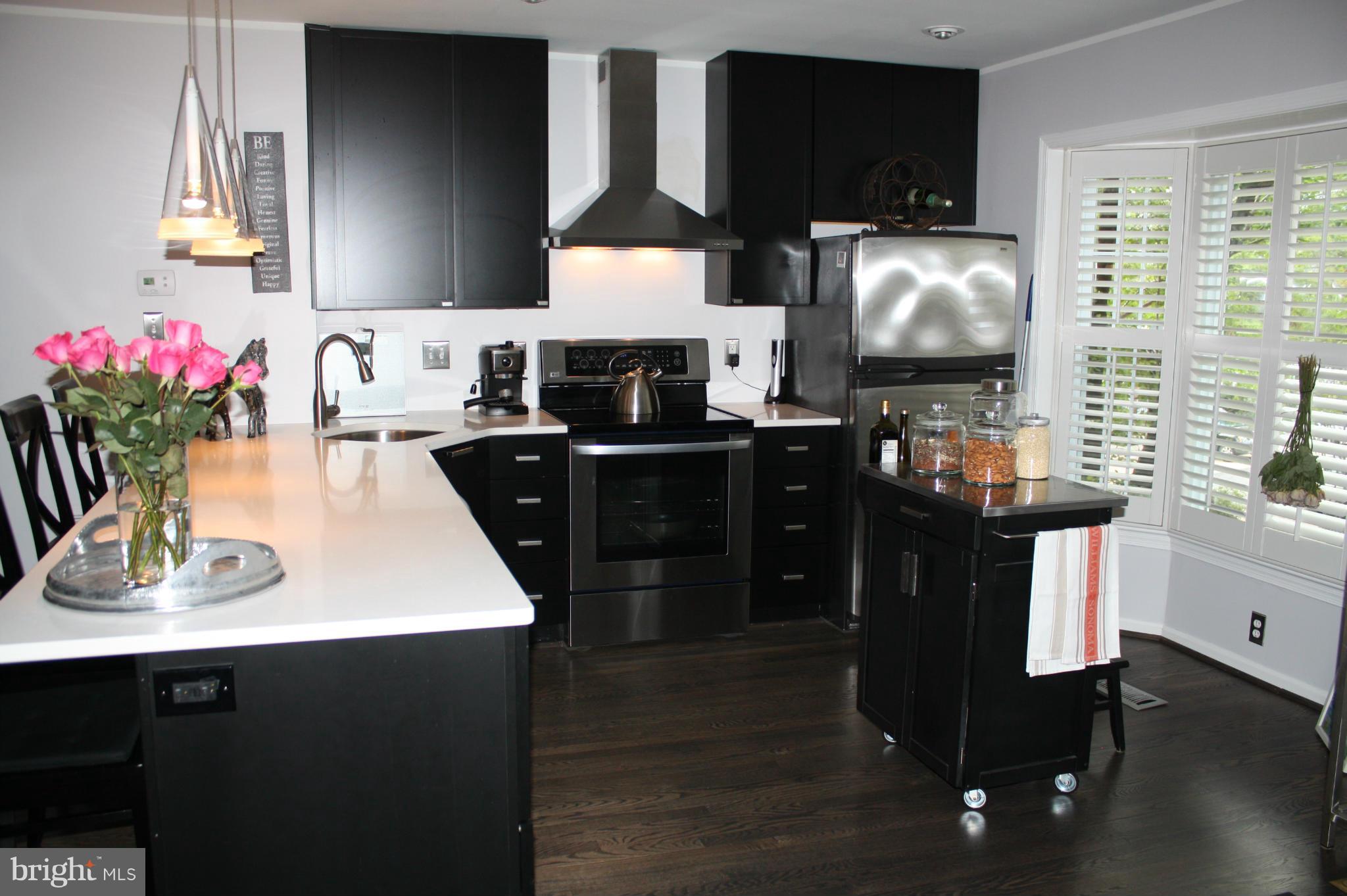 2055 South Glebe Road Arlington, VA 22206 - Photo 4 of 11 Kitchen
