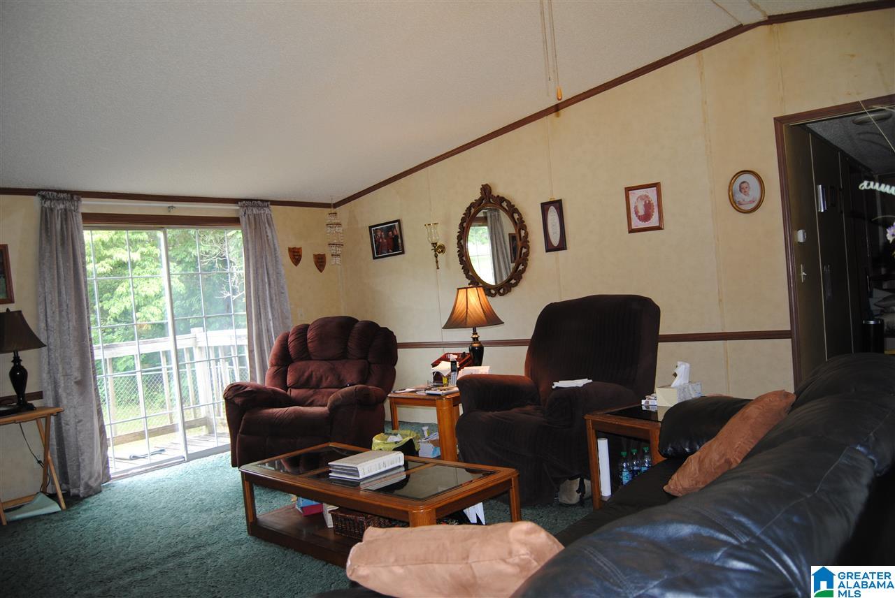 3628 Spunky Hollow Road Remlap, AL 35133 - Photo 28 of 29