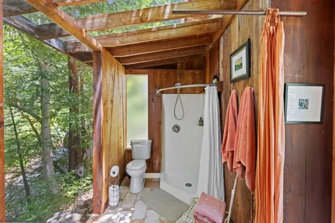 a potted plant sitting in front of a house