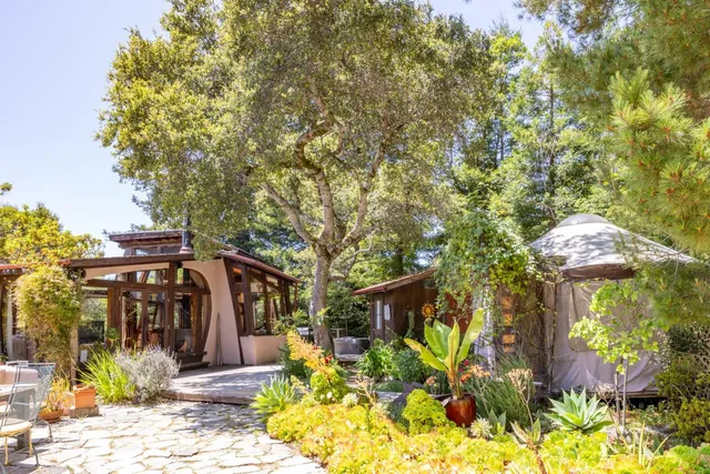 a view of a yard with large trees and plants