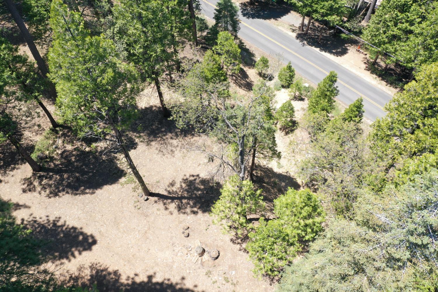 3112 Apache Road Arnold, CA 95223 - Photo 9 of 25 a view of a tree with a yard