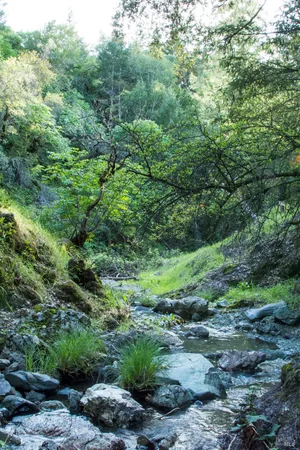 $6,900,000 | 2700 Geysers Road, Geyserville, CA 95441