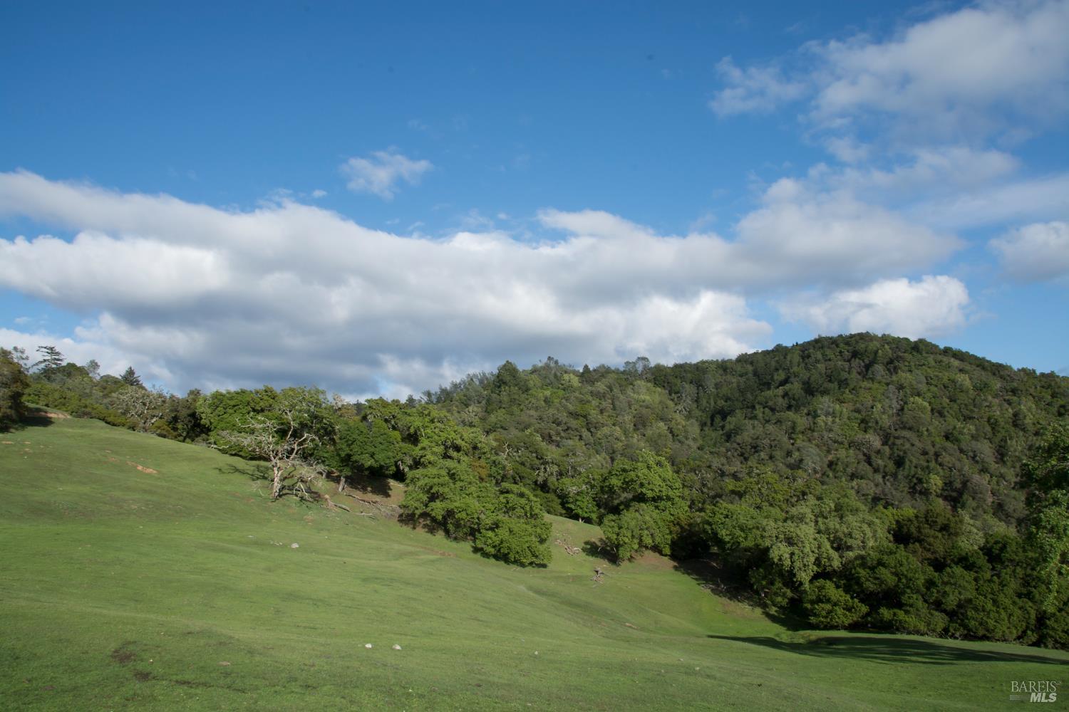 2700 Geysers Road Geyserville, CA 95441 - Photo 43 of 62