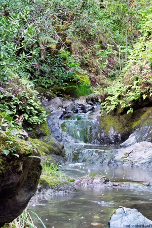 $6,900,000 | 2700 Geysers Road, Geyserville, CA 95441