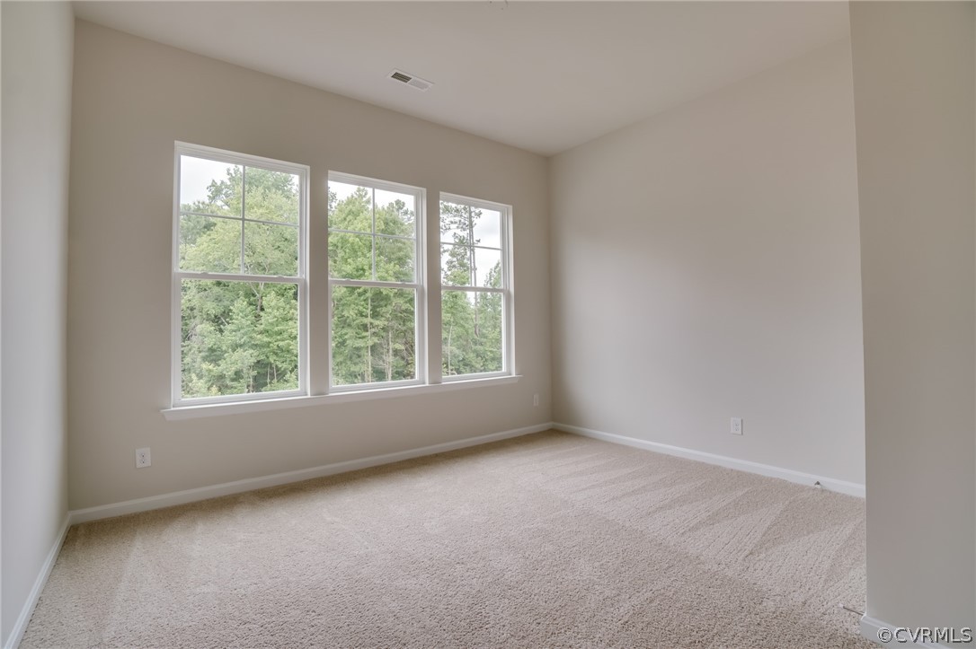 5645 Rohan Place Moseley, VA 23120 - Photo 18 of 34 Gallery Image 18