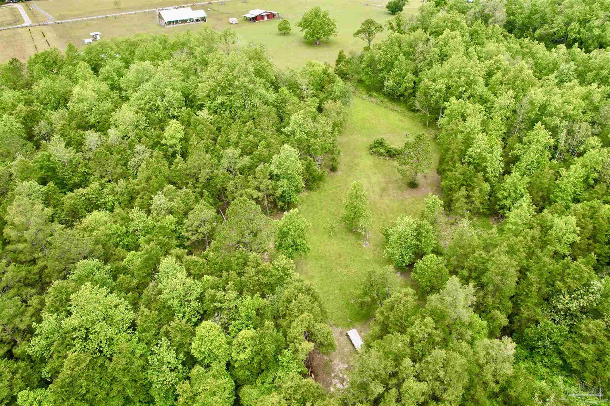 4425 Dream Acres Road Molino, FL 32577 - Photo 44 of 56 Gallery Image 44