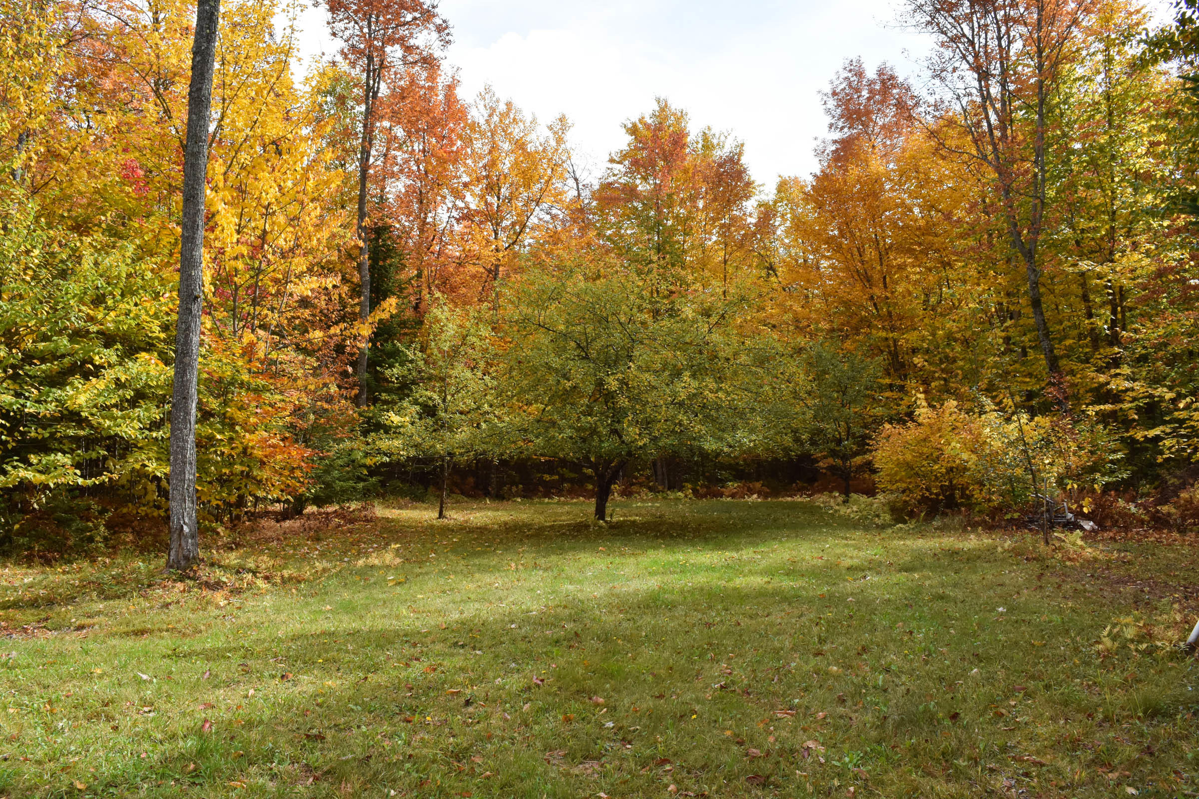 369 Old County Road Garland, ME 04939 - Photo 22 of 24 23. Apple trees