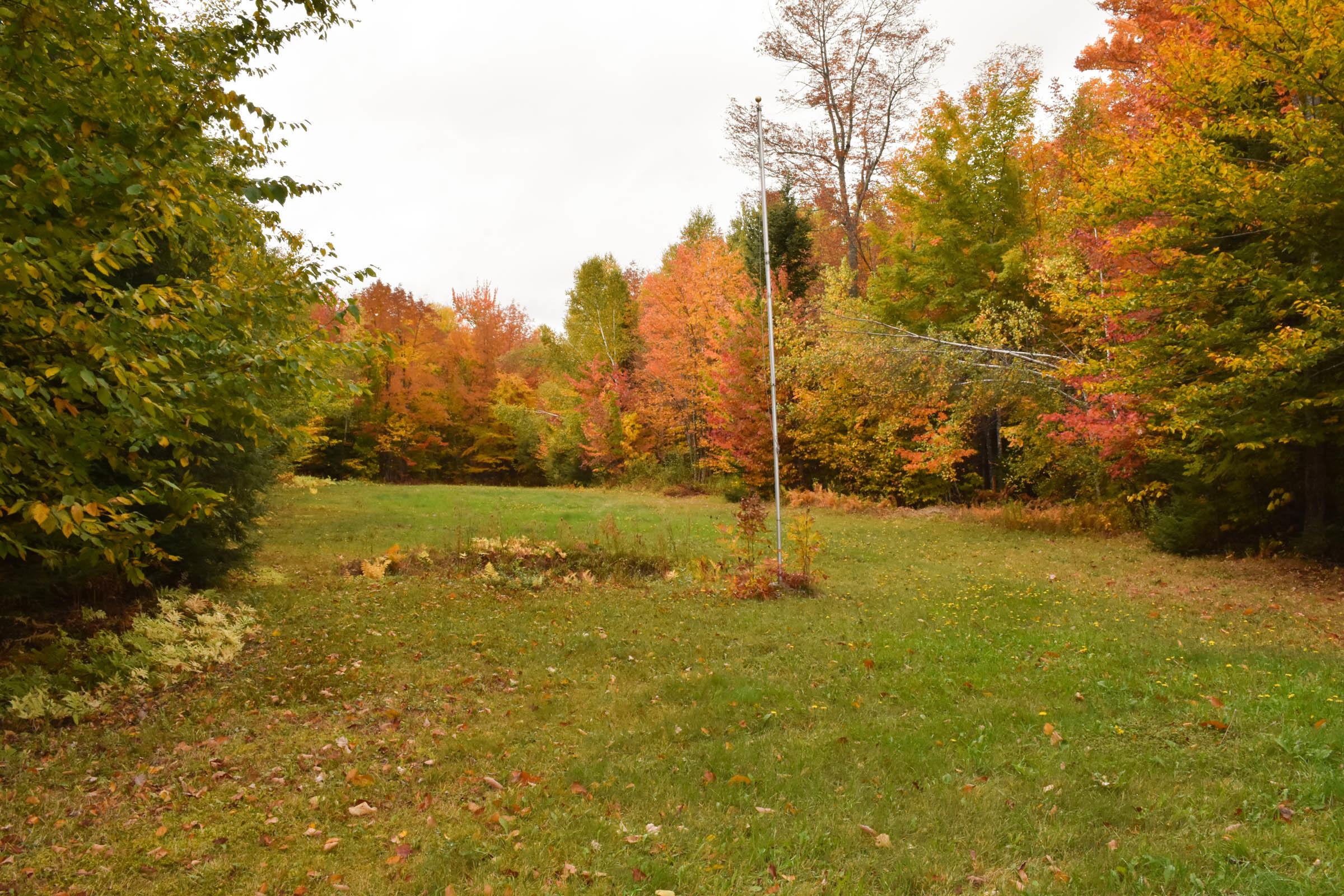 369 Old County Road Garland, ME 04939 - Photo 23 of 24 24. Open lawn