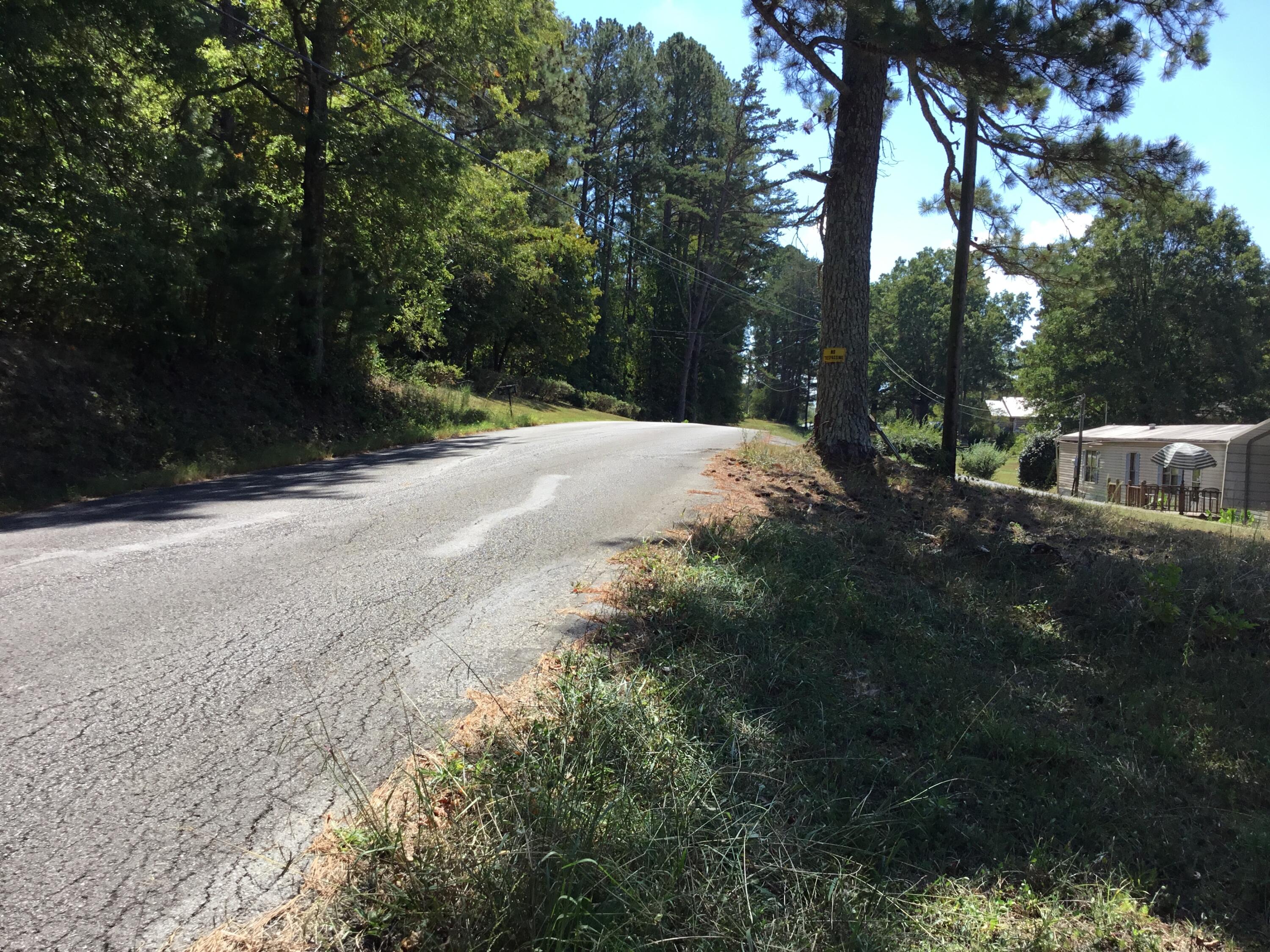 876 Arnold Road Rock Spring, GA 30739 - Photo 3 of 8 Road frontage