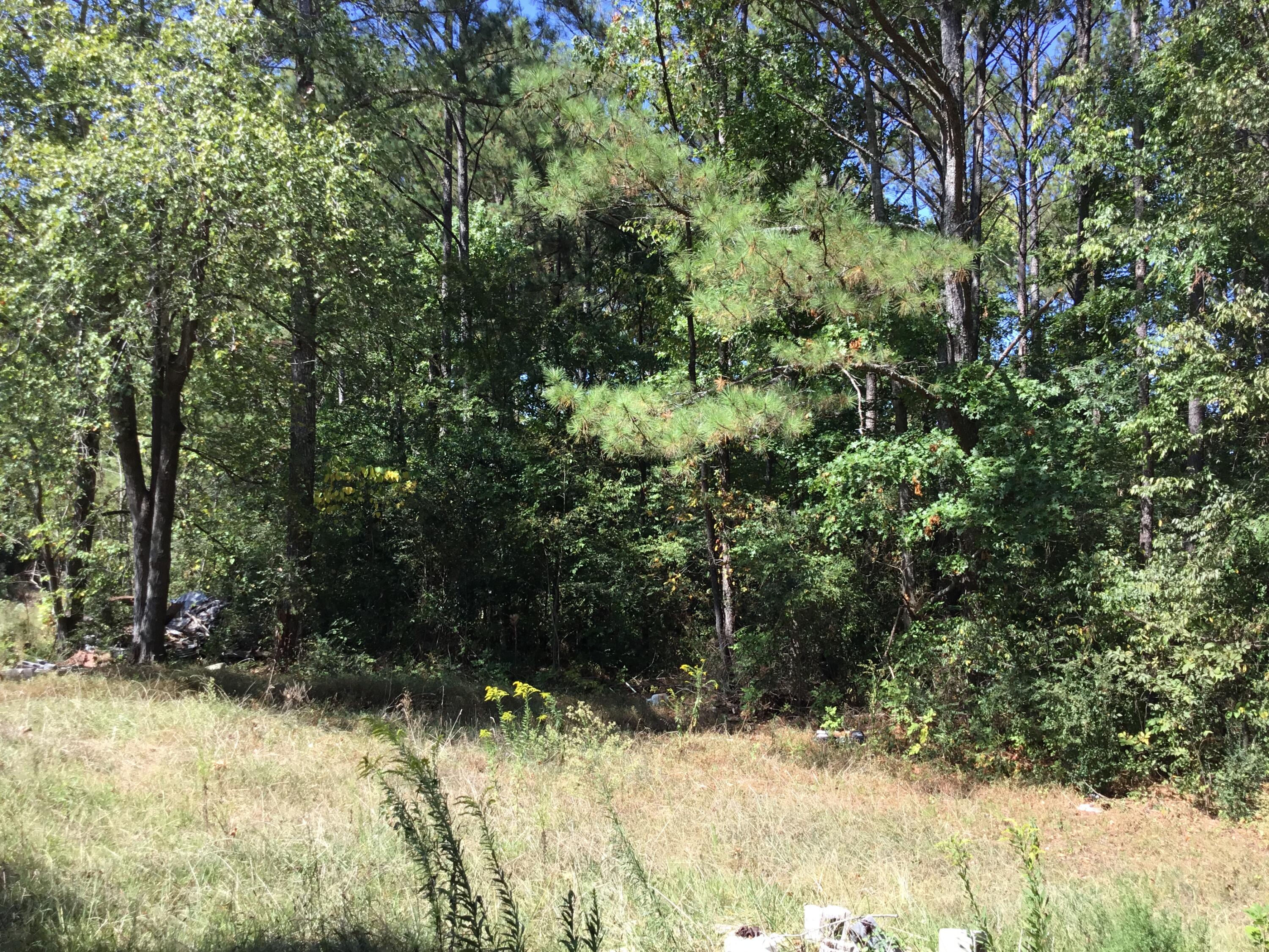 876 Arnold Road Rock Spring, GA 30739 - Photo 8 of 8 Lot