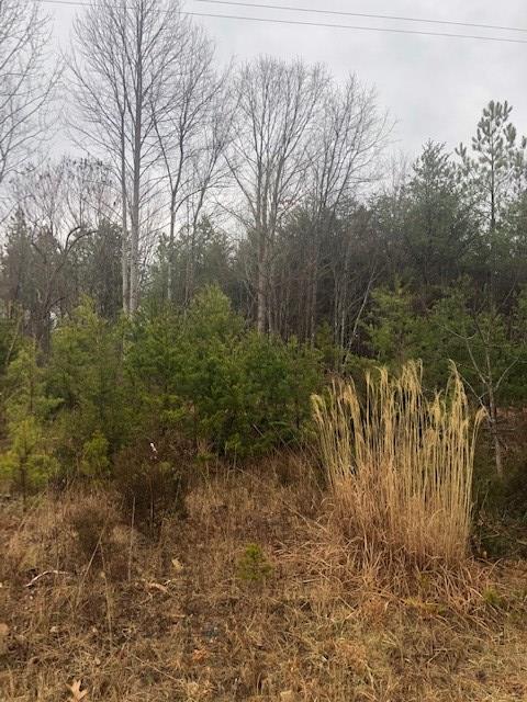 Hollywood Road, Unit 1 Appomattox, VA 24522 - Photo 2 of 2 Gallery Image 2