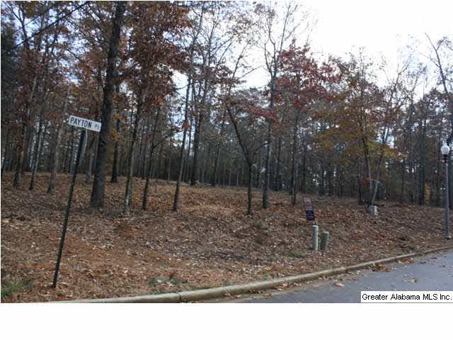 Peyton Place, Unit 3 Weaver, AL 36277 - Photo 14 of 40