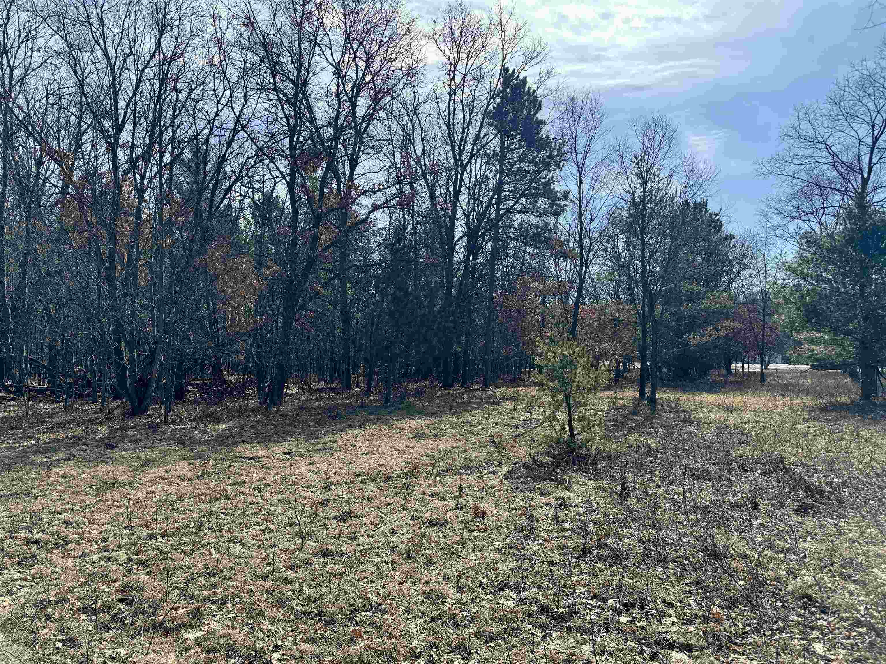 Parcel C West Rosted Road Lake City, MI 49651 - Photo 14 of 20