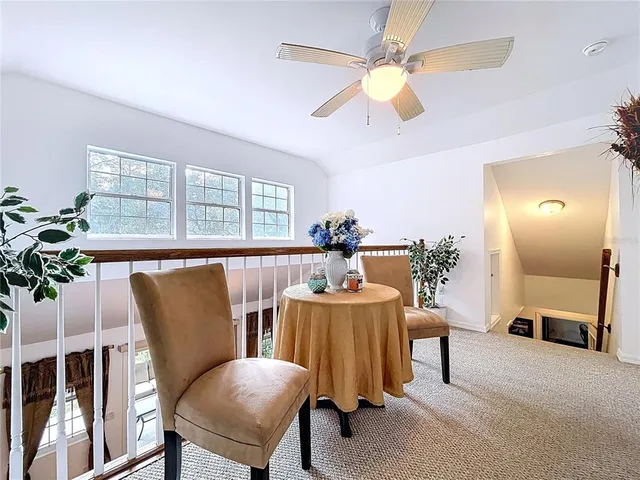 a view of a park with large trees