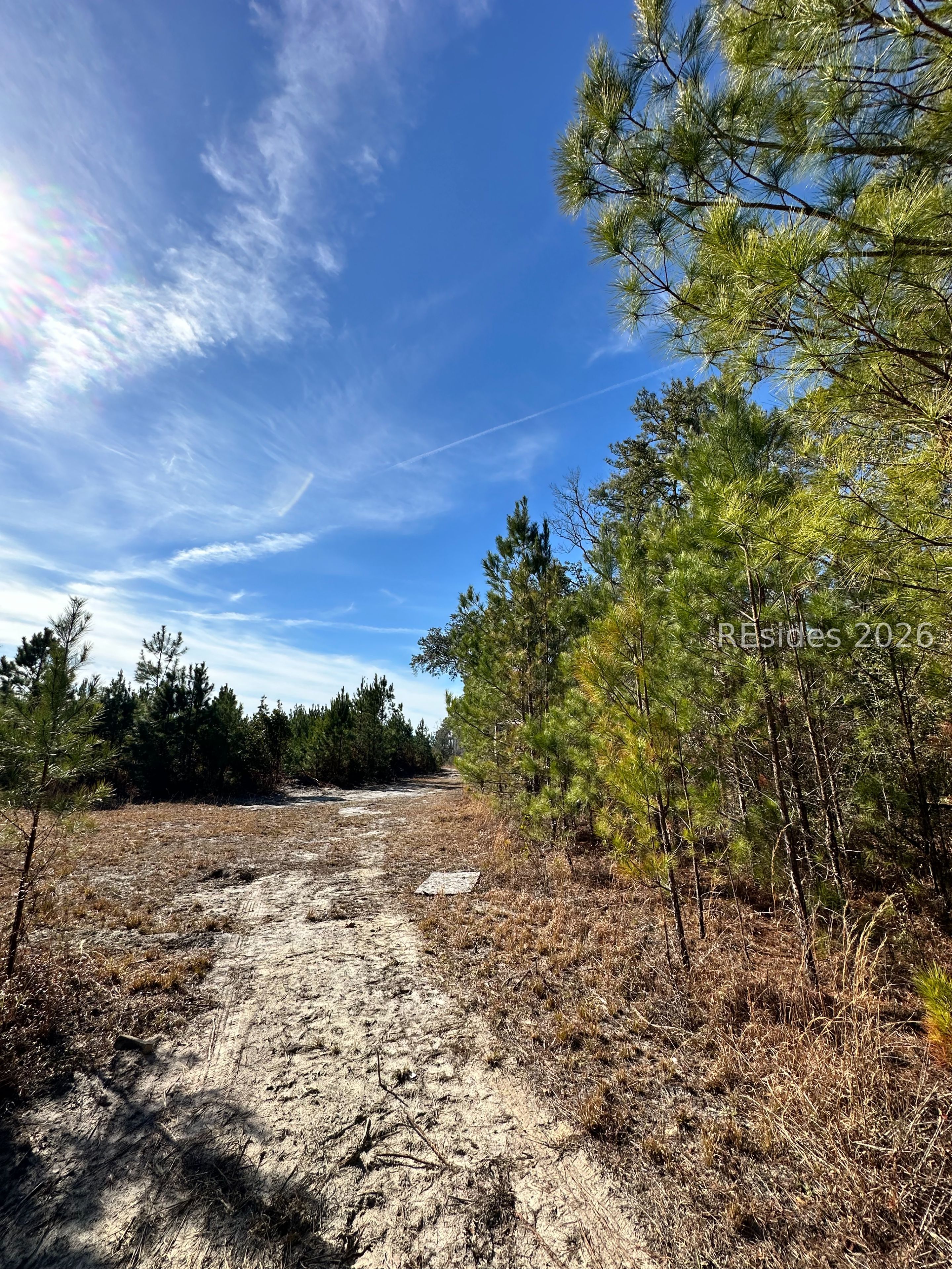 0 Spring Field Plantation Drive Ridgeland, SC 29936 - Photo 4 of 15