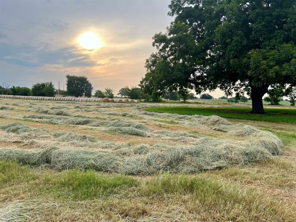 1370 Parker Dairy Road Forestburg, TX 76239 - Photo 22 of 35 a view of outdoor space and yard