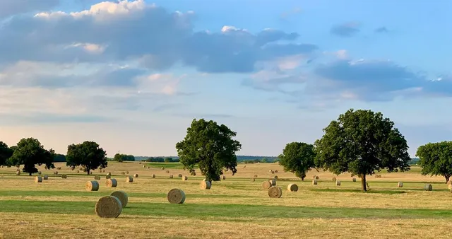 a view of a garden with a house
