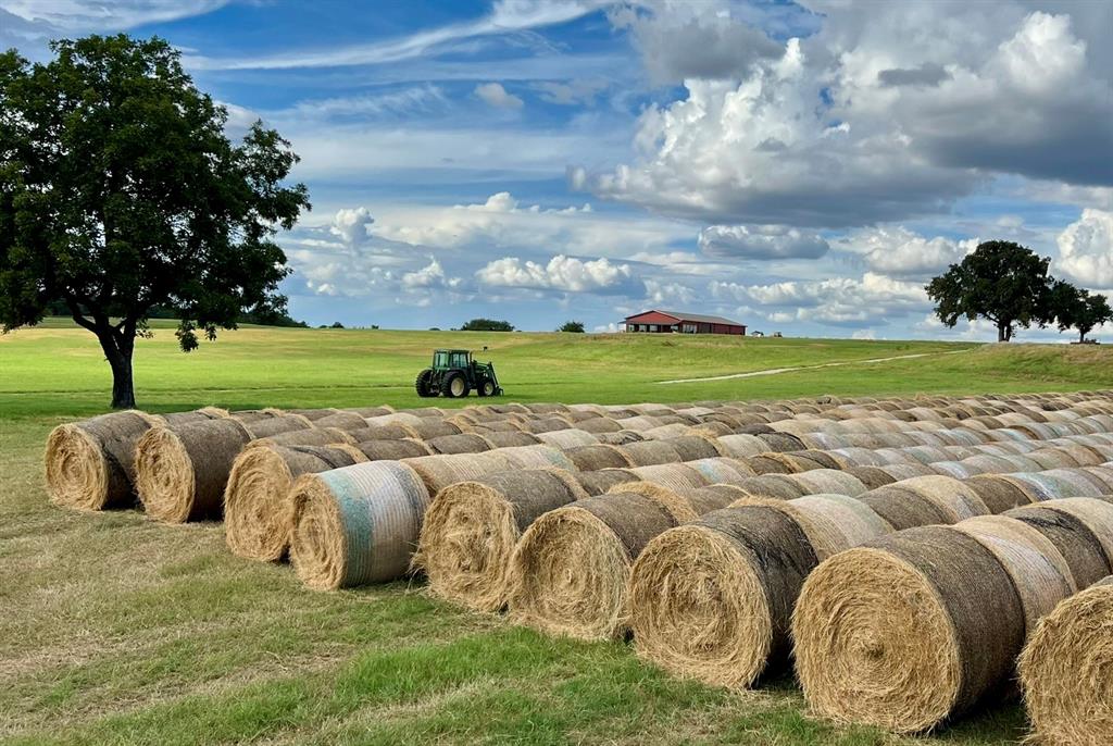 1370 Parker Dairy Road Forestburg, TX 76239 - Photo 24 of 35 a view of an outdoor space and yard