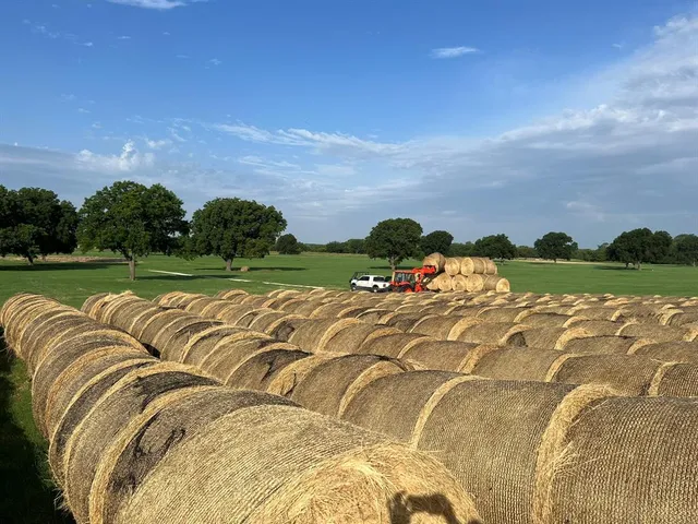 a view of a golf course with a park