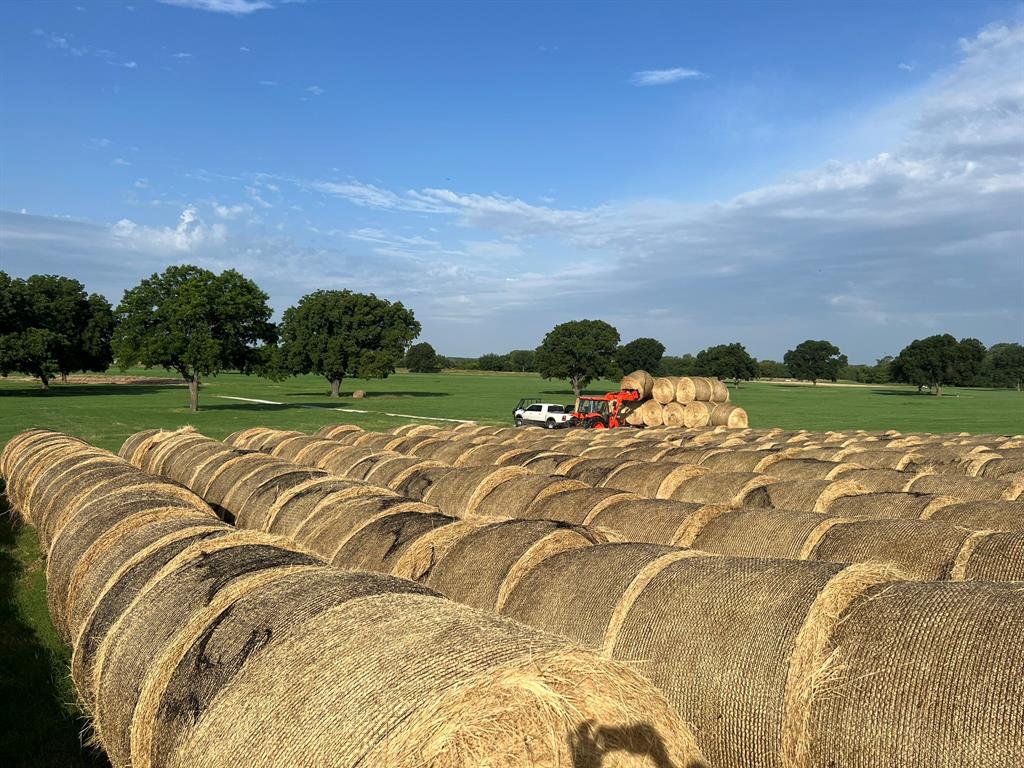 1370 Parker Dairy Road Forestburg, TX 76239 - Photo 25 of 35 a view of a garden with a house