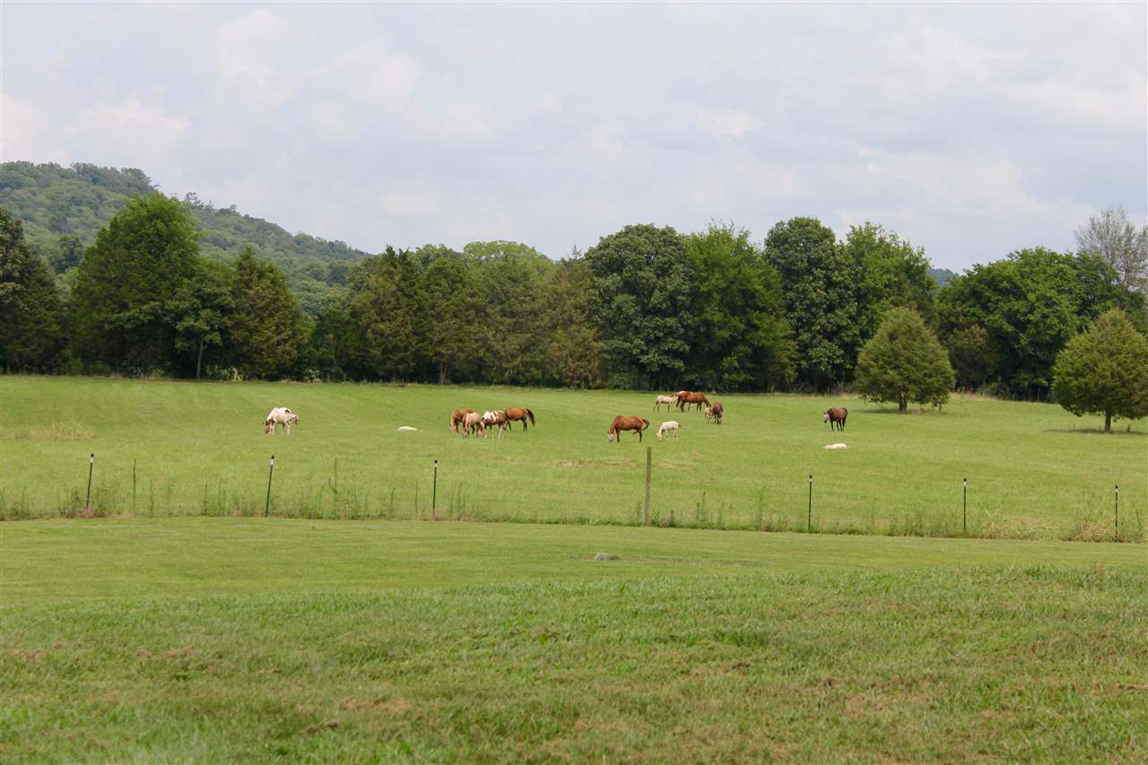 604 Norris Road Bowling Green, KY 42101 - Photo 22 of 25 Gallery Image 22