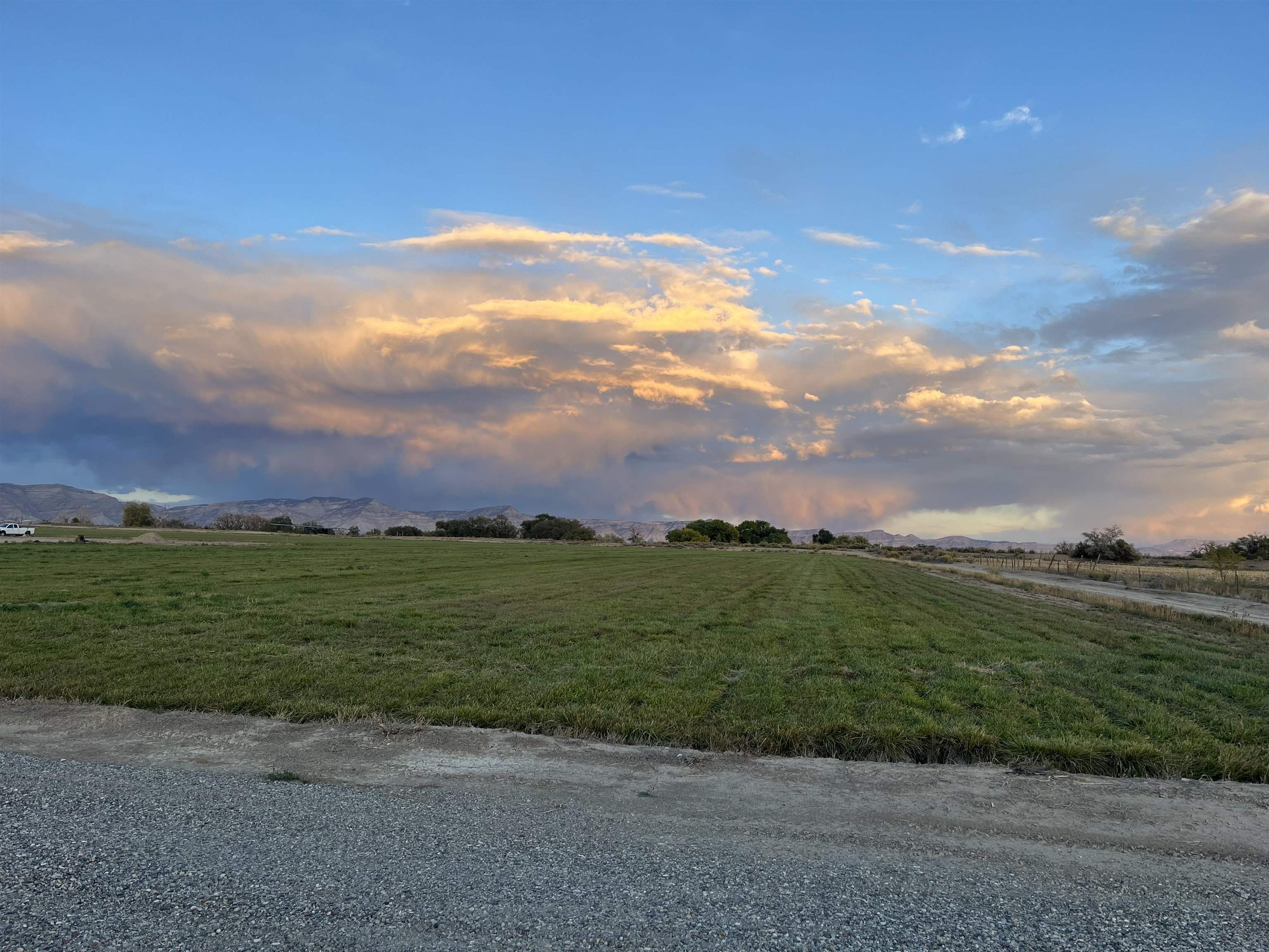 1835 O Road Fruita, CO 81521 - Photo 13 of 30 a view of a big yard with a big yard