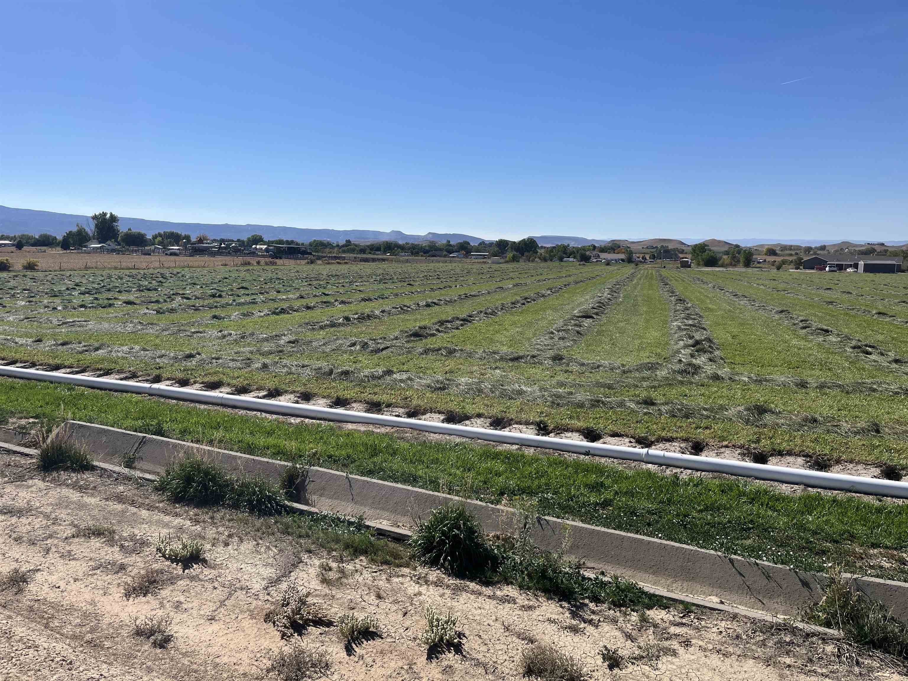 1835 O Road Fruita, CO 81521 - Photo 14 of 30 a view of a lake with a yard