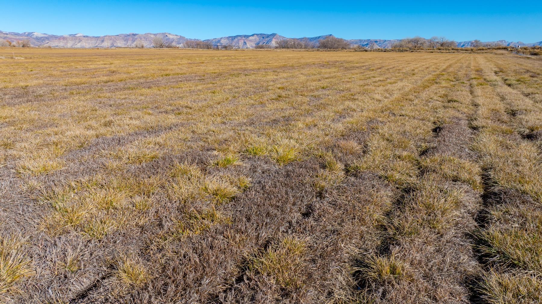1835 O Road Fruita, CO 81521 - Photo 19 of 30 a view of an ocean and a mountain