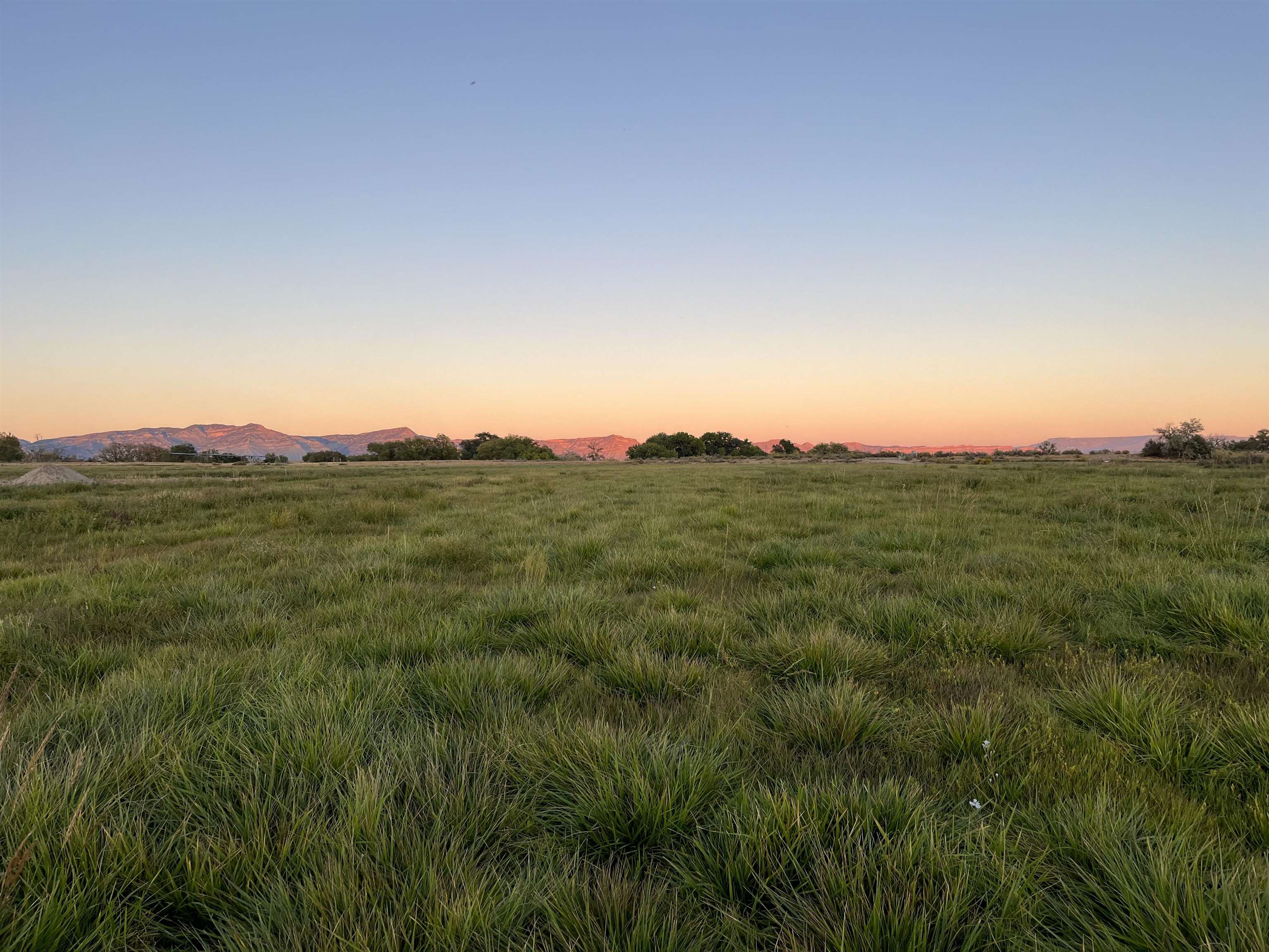 1835 O Road Fruita, CO 81521 - Photo 10 of 30 a view of a city with lush green forest