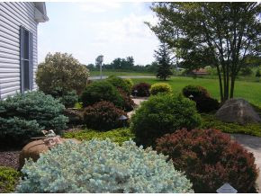800 Opie Arnold Road Limestone, TN 37681 - Photo 3 of 22 Photo 3