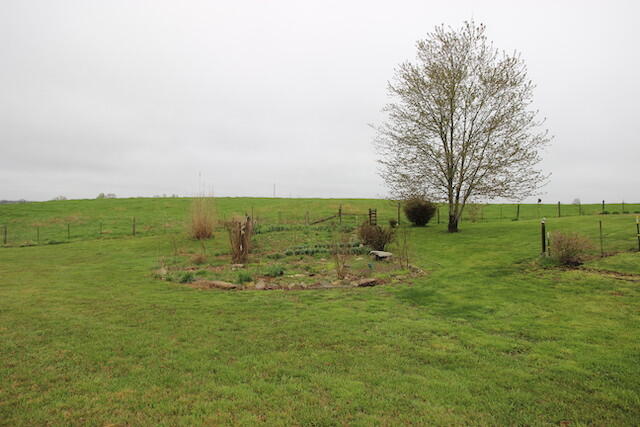 155 Eugene Harness Road Science Hill, KY 42553 - Photo 77 of 101 IMG_5648